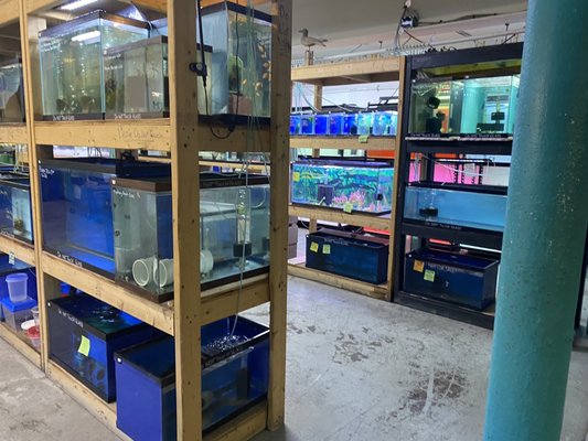 More fish tanks