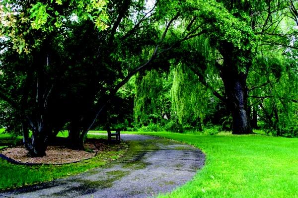 One of the beautiful walking paths by Brightondale Senior Campus in New Brighton, MN.