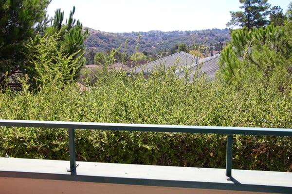 View from one of the apartments at the Pines