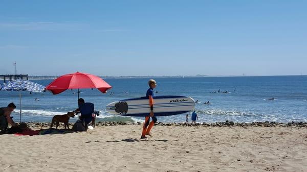 Young surf competitor