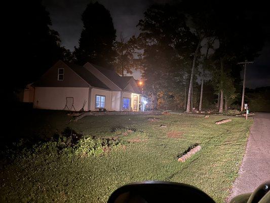 Dangerous tree, drop and removal near home