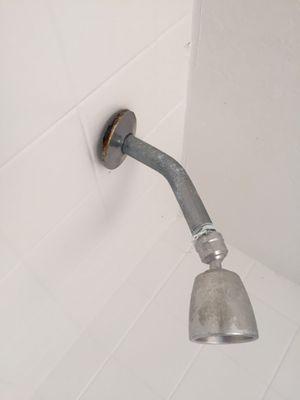 Pathetic shower head that's broken, dirty, rusty, has plastic stuck in it. Outdated.