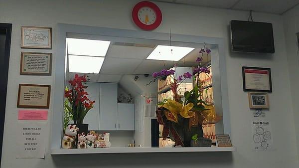 Newly decorated front office....always a friendly atmosphere.