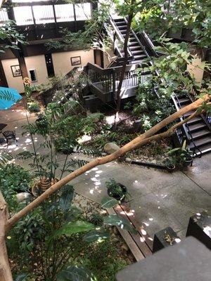 Interior. Cool 1960s vibe. Indoor garden atrium.