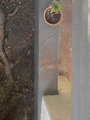 Termite droppings on other tenants patio underneath my patio