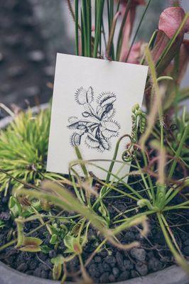 Custom vintage botanical wedding invitation suite