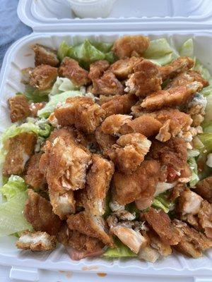 Buffalo Chicken Finger Salad was very good, prefer romaine lettuce rather than iceberg though