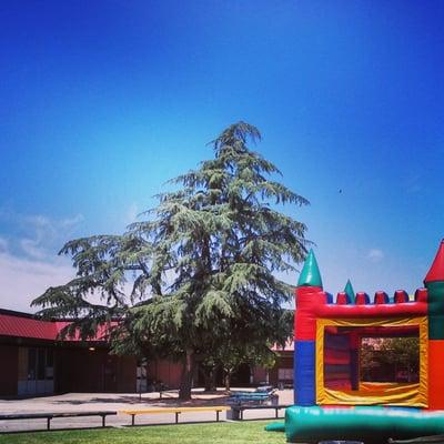 Spring Carnival on the quad