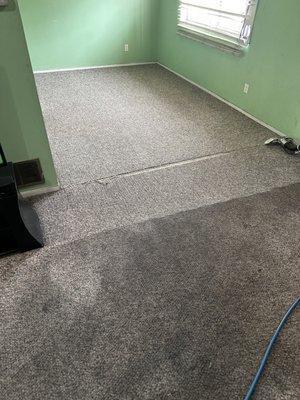 Halfway progress in this Living room carpet in Carson