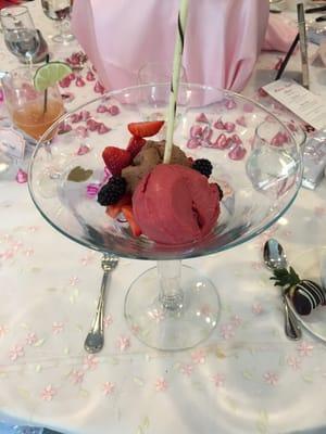 Raspberry sorbet and chocolate ice cream with mixed berries