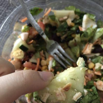 oh god...Small flying insects in my salad