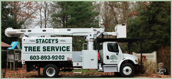 Stacey's Tree Service