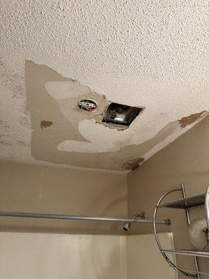 Ceilings and texture repairs