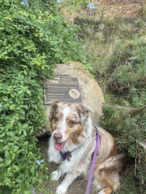 Betty Mae and Shakespeare's Garden plaque under Shakespeare's Bridge