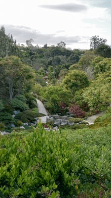 Balboa park hiking tour