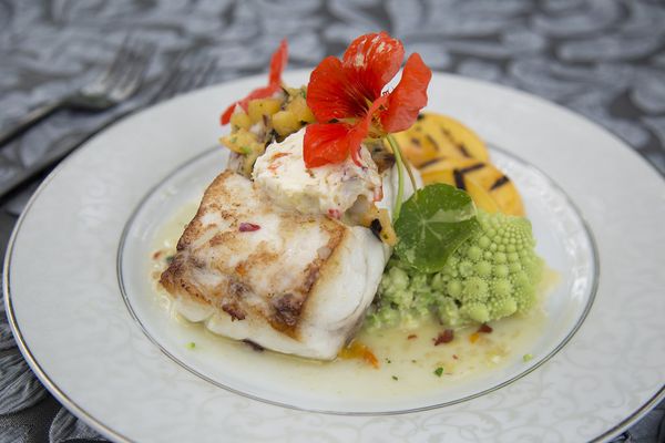 PAN SEARED LOCAL STRIPED BASS Grilled Peaches, Charred Peach Salsa, Nasturtium Butter and Blossoms Romanesco Risotto