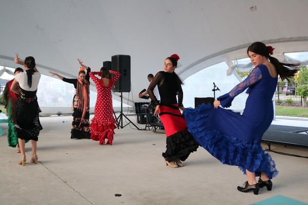 Flamencas del Sur