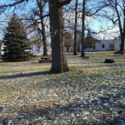 picnic tables and mature trees