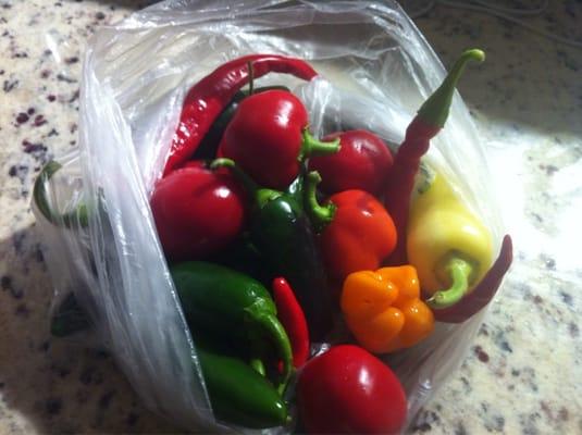 Extra hot peppers