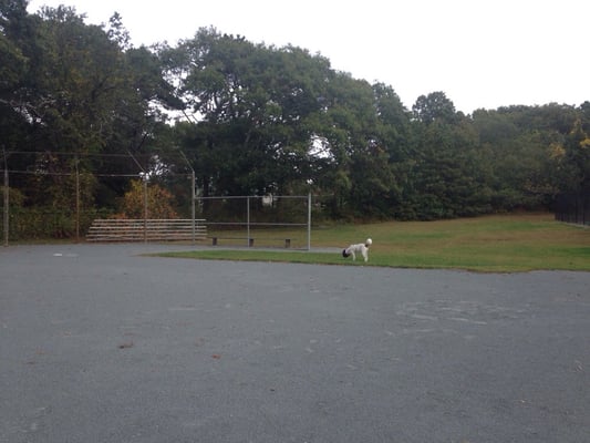 Dorothy playing ball.