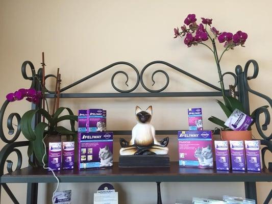 Is your kitty a little stressed, we have products to help.