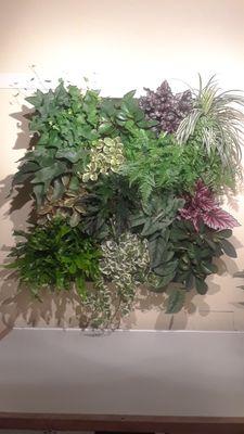 Plant Portrait - living plant wall installed in a private home - more beautiful as it grows!