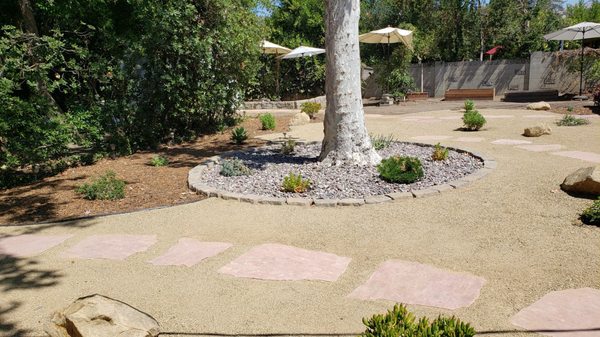 Decomposed granite, Arizona stepping stones, drought tolerant plants.