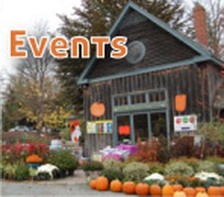 Annual Events