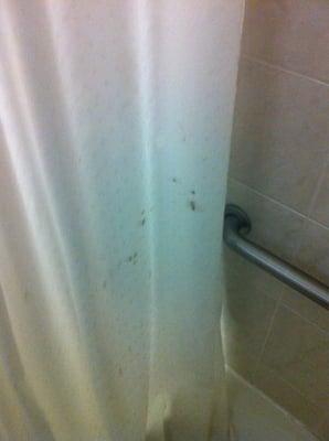 Very scary shower curtain.  Don't want to know what is on there.....