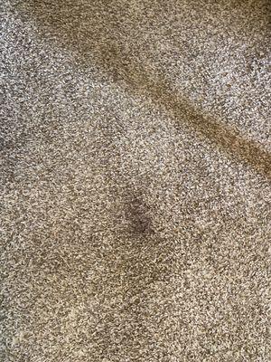 Stains on carpet not cleaned