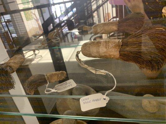 Brushes made from the soap root