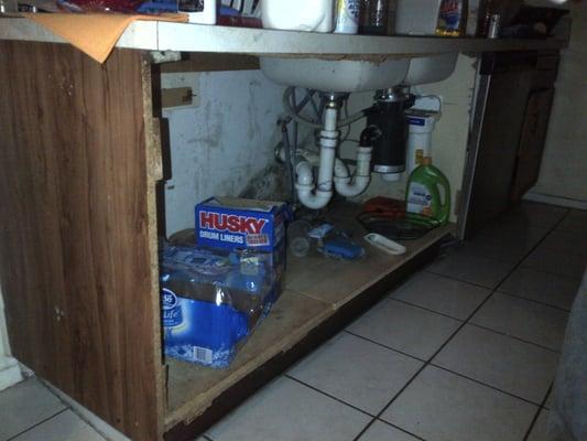 Kitchen cabinet "Before Refacing"