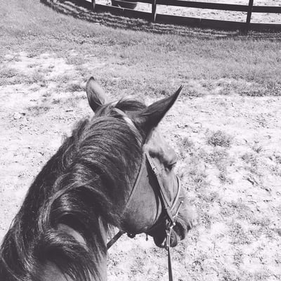 Trail rides are a great way to relax.