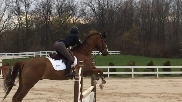 Me and my horse slicing some jumps in one of the 4 outdoor riding rings here