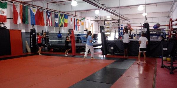 Jiu Jitsu/Muay Thai Training Area