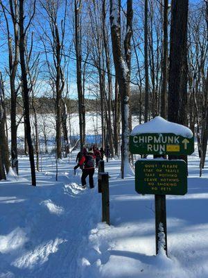 Snow shoeing