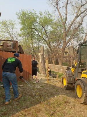 Wildcat Tree Service