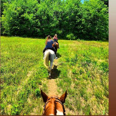 Horseback riding at Black Horse Run in Fountain Inn, SC near Greenville, SC! Beautiful trails and horses!