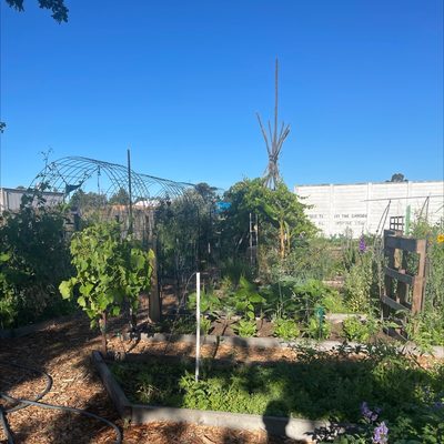 Community garden