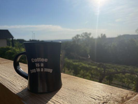 Morning coffee looking over the vineyard