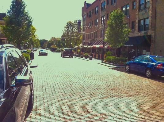 Beautiful part of Oak Park. Brick street well maintained.