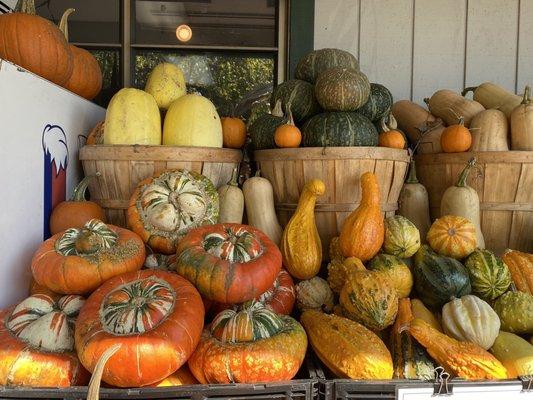 Gourds