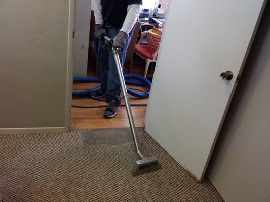 Stream Carpet cleaning