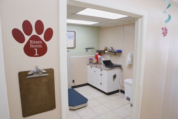 The 1st exam room at the clinic features a lifting table for large dogs, to reduce the stress and strain of lifting the dog.