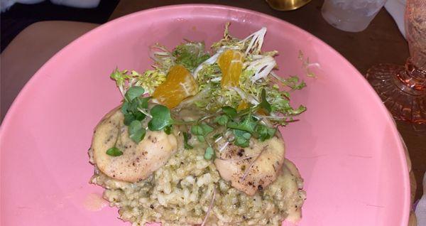 Scallops and pesto risotto