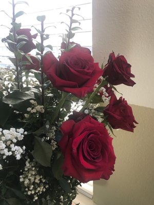 Roses