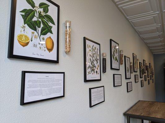 Check out our botanical wall to learn about the ingredients in our gins