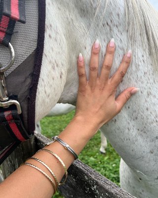 Specialized Equine & canine hip and leg -full body massage