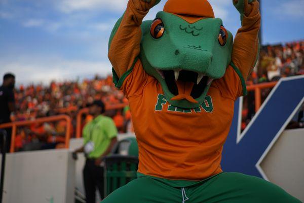 FAMU Mascot - Venom