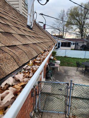 Gutter cleaning